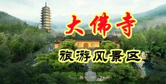 桃红色界巨乳中国浙江-新昌大佛寺旅游风景区